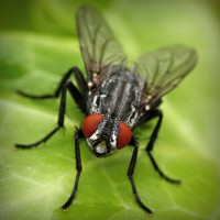 /album/woodjausalthey/photolia-a01-jpg/