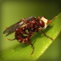 /album/woodjausalthey/photolia-a06-jpg/