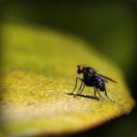 /album/woodjausalthey/photolia-a07-jpg/